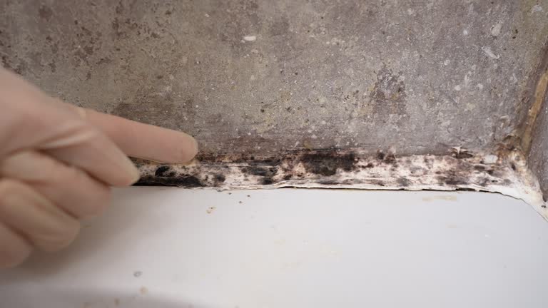 Forensic Mold Investigation in Brookville, OH